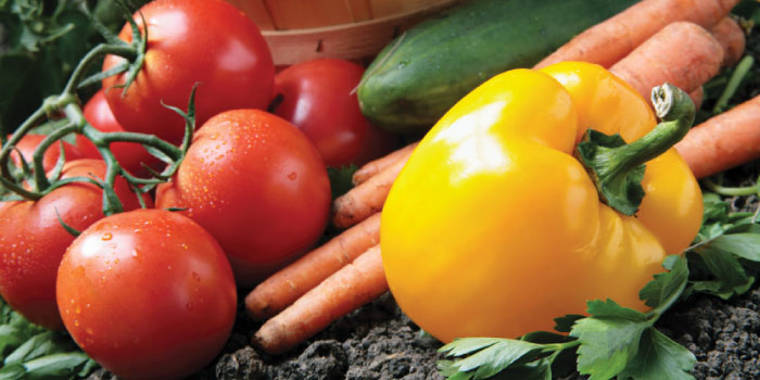 home-home-growing-thumb-700×350 Fertilizers for home gardening