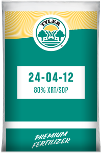 24-04-12 80% XRT/sop
