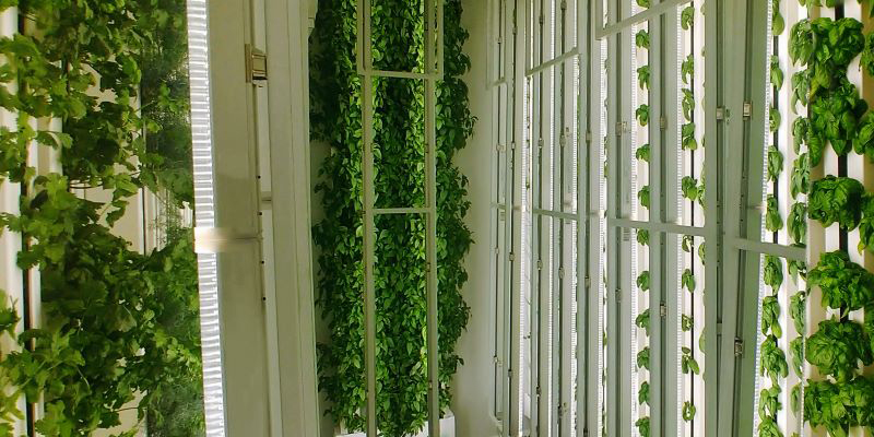 cool-wall2