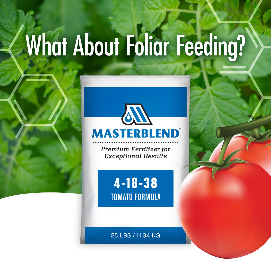 Can I Use Masterblend for Foliar Feeding